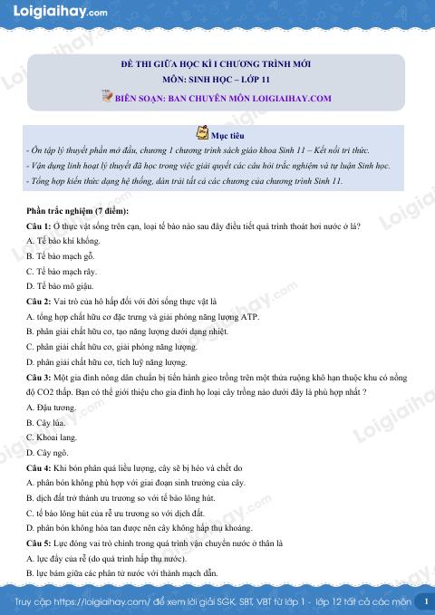 Đề thi giữa kì 1 Sinh 11 Kết nối tri thức - Đề số 4